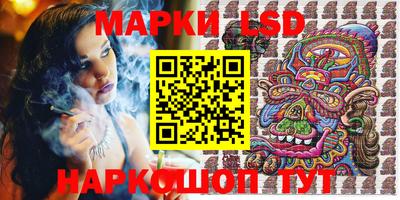 крисы Будённовск