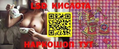 крисы Будённовск