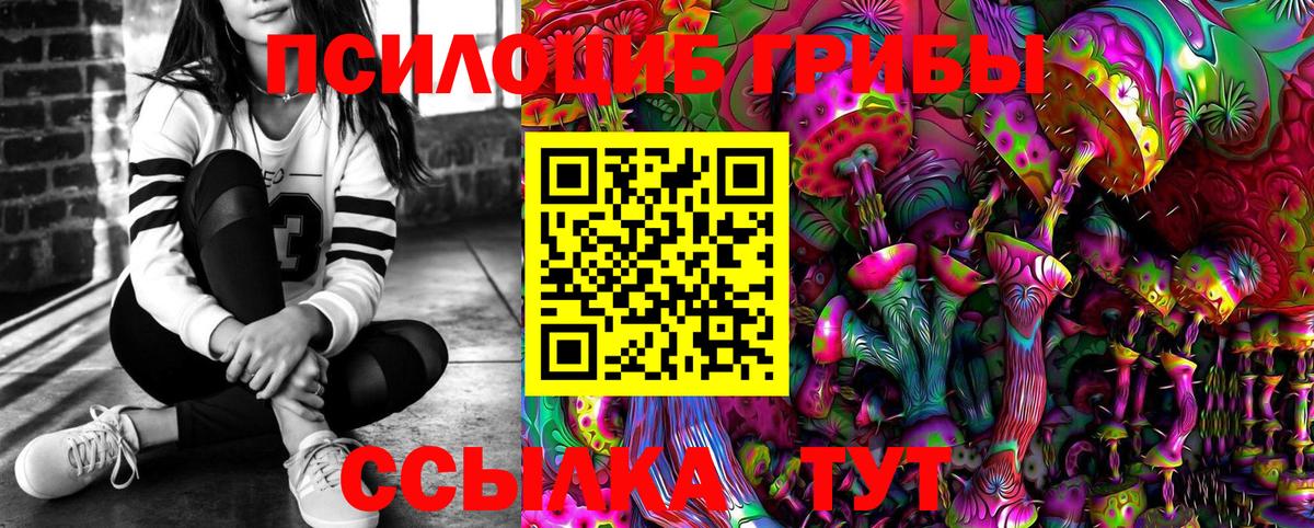 Саки  Галлюциногенные грибы Cubensis  Вход с VPN 